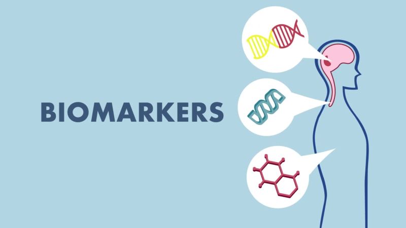 Read more about the article Biomarker and Longevity: Unlocking the Secrets to a Longer, Healthier Life