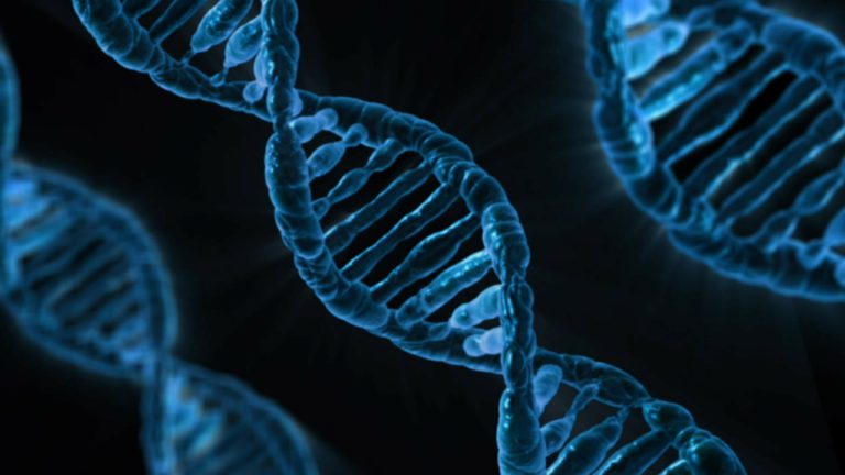 Read more about the article How Accurate are DNA Paternity Tests?
